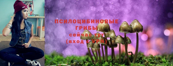 кристаллы Абаза