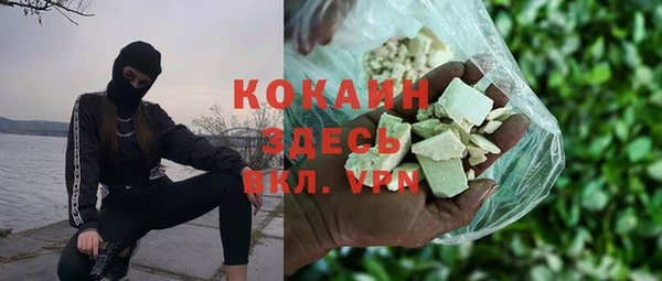 прущие грибы Алзамай