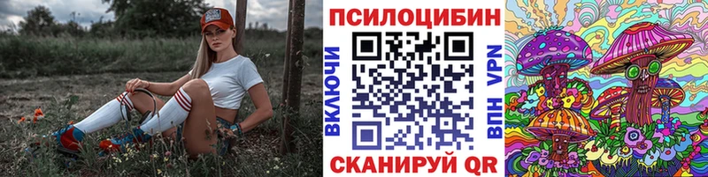 мориарти какой сайт  Шахты  Псилоцибиновые грибы мицелий 